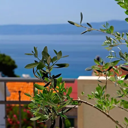 Apartment Penthouse Vanja